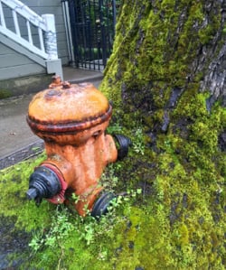 fire hydrant